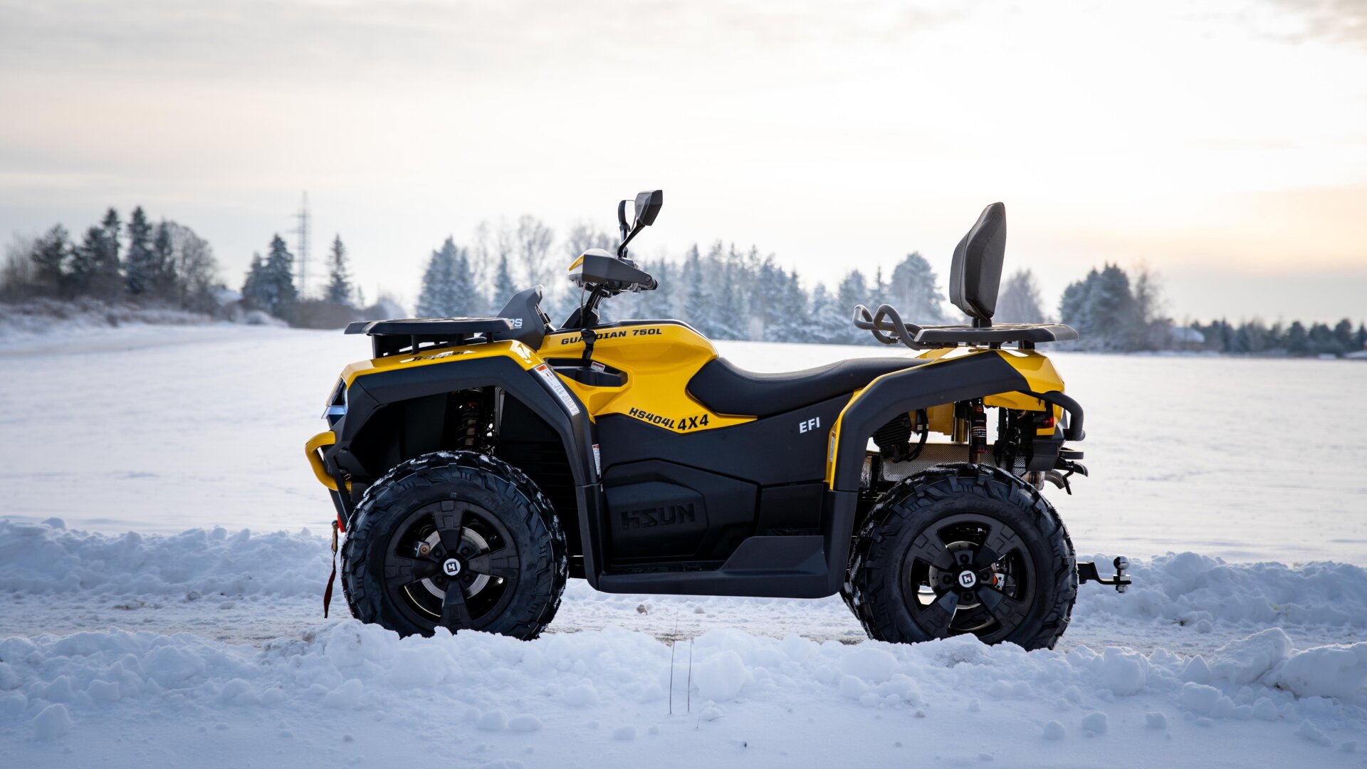 750L T3b EPS Guardian